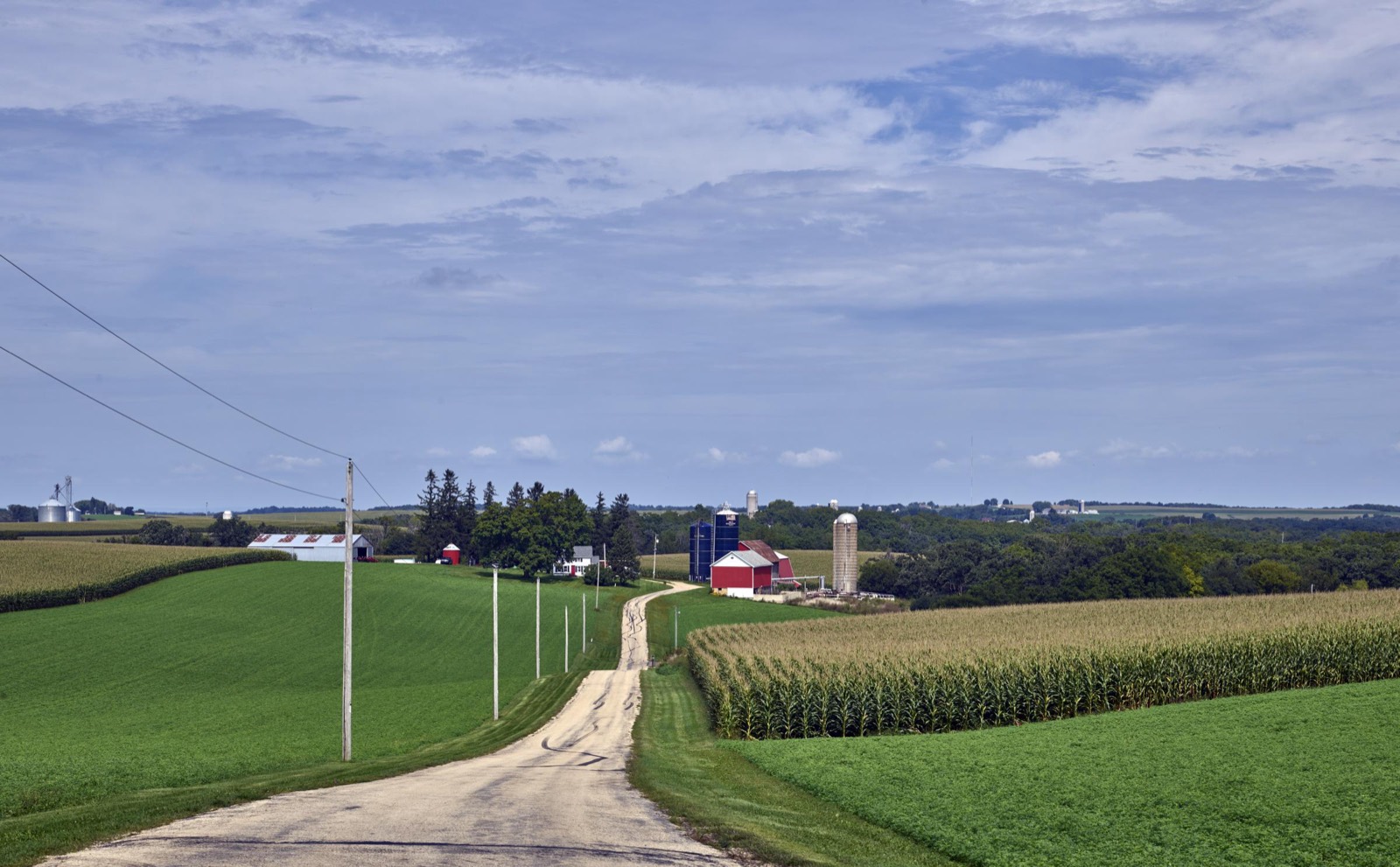 A narrow country lane runs between green fields and tall corn toward a red barn and silos in Dane County, Wisconsin.