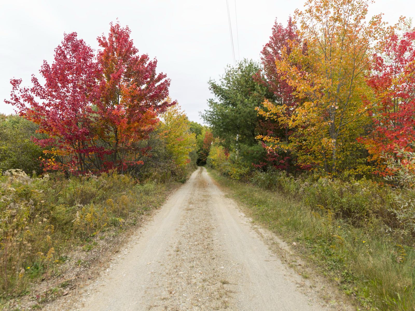 A gravel country road runs between maples in bright red, orange and gold fall color near Etna, Maine.