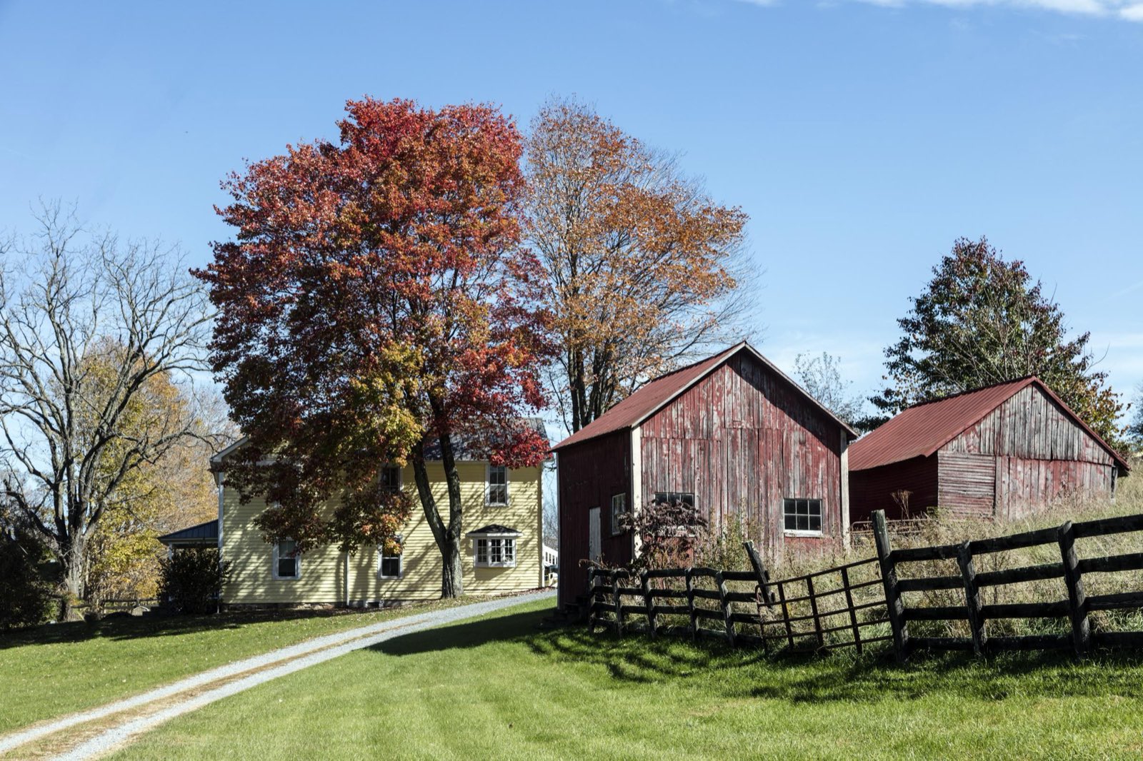 A yellow farmhouse and two weathered red barns sit beside a wooden fence under fall foliage in rural Monroe County, West Virginia.